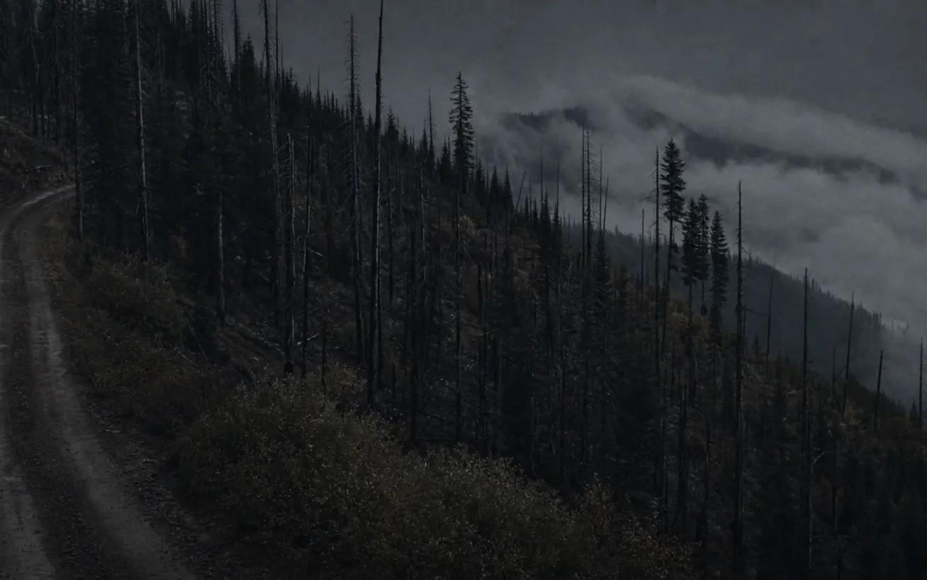 A narrow dirt road cutting along a steep forested ridge above a fog-filled valley in remote Idaho
