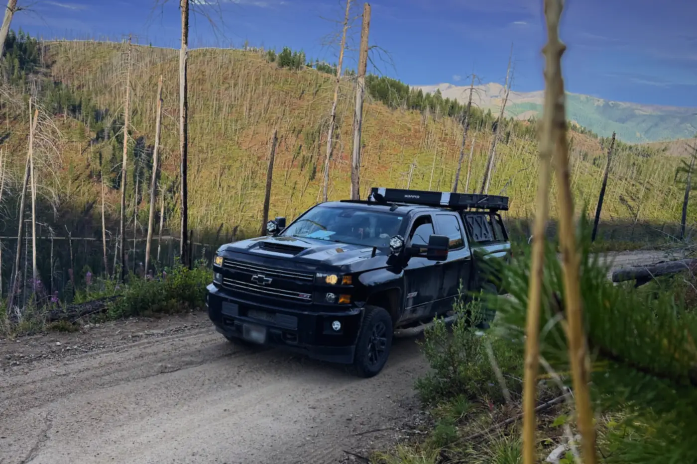 The Pioneer, a black Chevrolet Silverado 2500 carrying a roof rack and rooftop tent, parked on a dirt road cutting through a burnt mountain forest